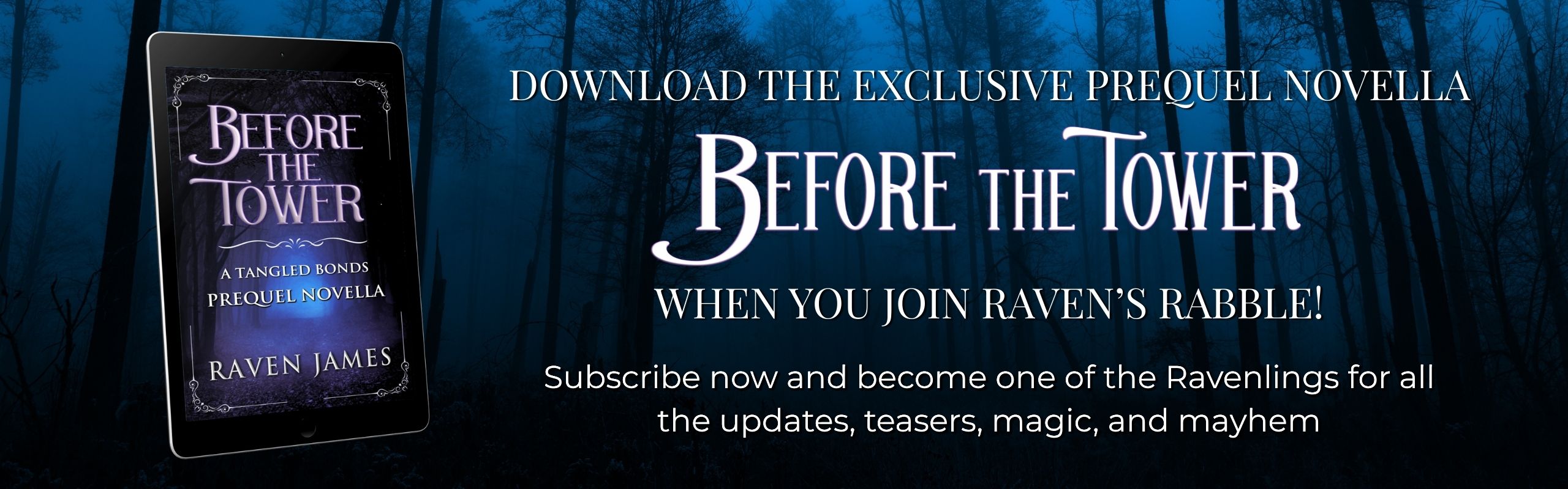 Before the Tower by Raven James Newsletter Banner